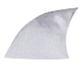 zub1